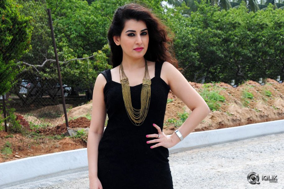 Archana-at-Tharuvatha-Katha-Movie-Press-Meet